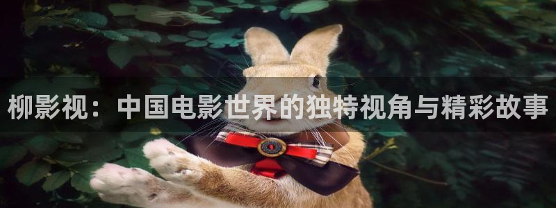 大地影院免费观看：柳影视：中国电影世界的独特视角与精彩故事