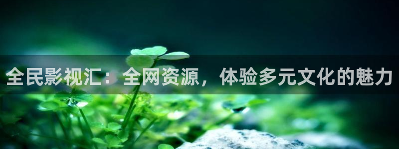 大地影院高清在线观看：全民影视汇：全网资源，体验多元文化的魅力