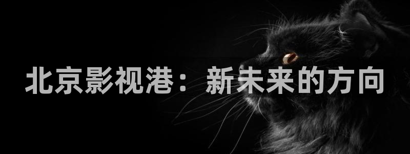 大地电影公司：北京影视港：新未来的方向