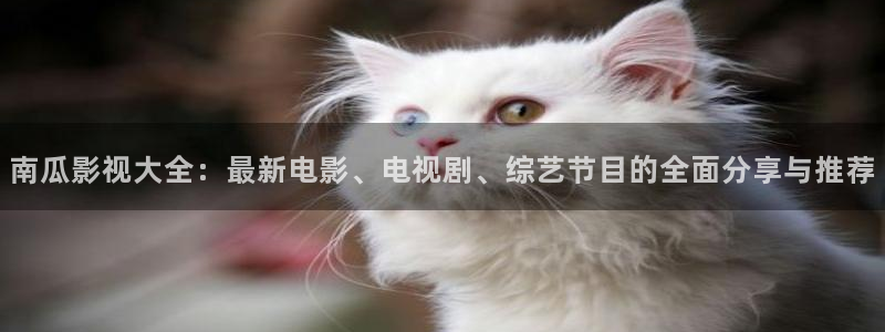 大地电影在线资源网：南瓜影视大全：最新电影、电视剧、综艺节目的全面分享与推荐
