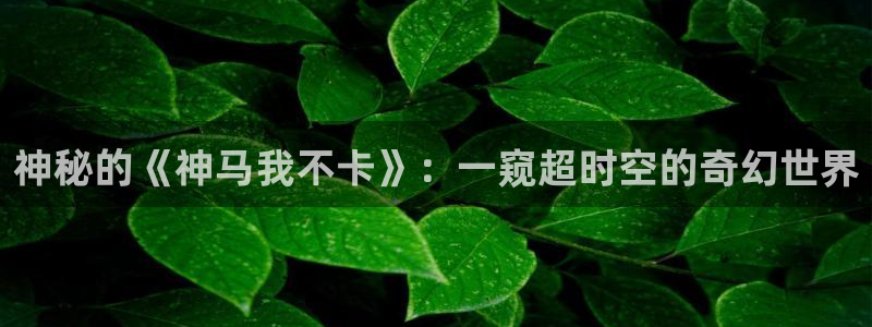 大地精品视频在线观看：神秘的《神马我不卡》：一窥超时空的奇幻世界