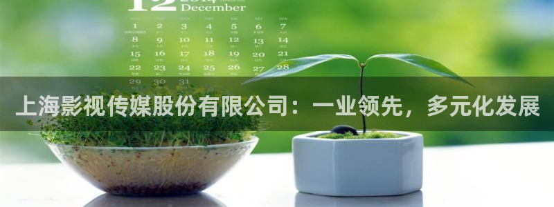 大地视频高清在线观看：上海影视传媒股份有限公司：一业领先，多元化发展