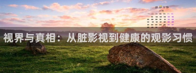 大地影院mv在线观看高清：视界与真相：从脏影视到健康的观影习惯