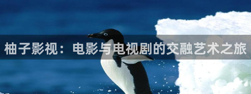 大地影院mv高清在线看免费：柚子影视：电影与电视剧的交融艺术之旅