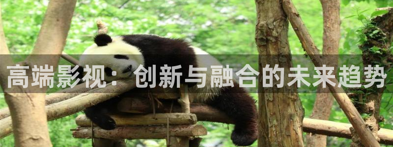 银川大地影院：高端影视：创新与融合的未来趋势