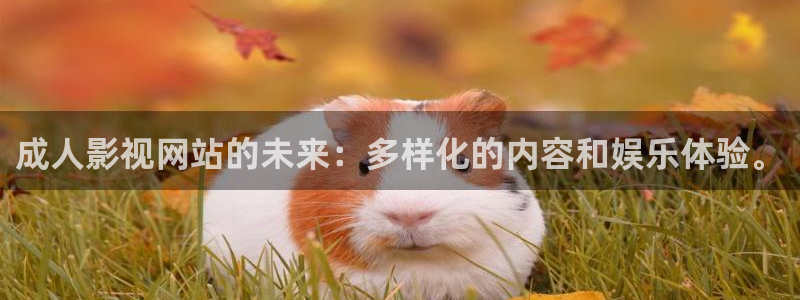 金坛大地数字影院：成人影视网站的未来：多样化的内容和娱乐体验。
