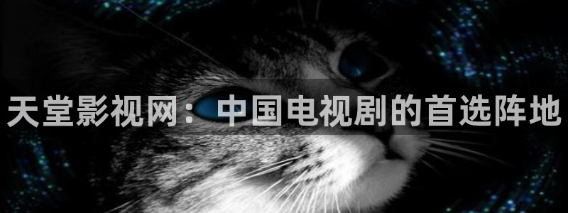蚌埠百大拓基大地影院：天堂影视网：中国电视剧的首选阵地